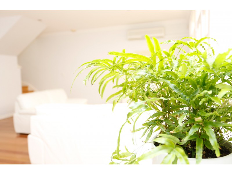 109B Hampton Road, South Fremantle WA 6162