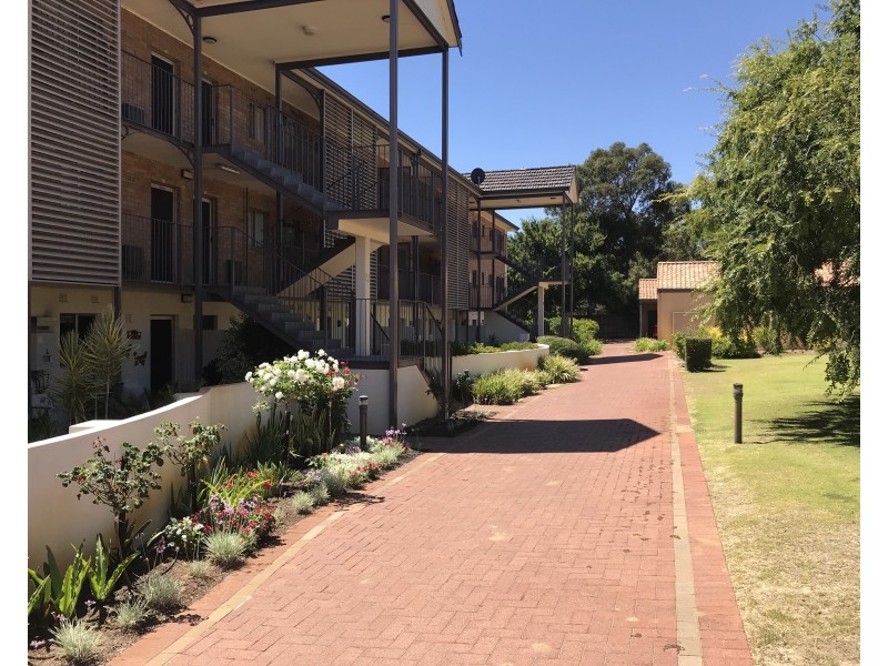 36/79 Waverley Road, Coolbellup WA 6163
