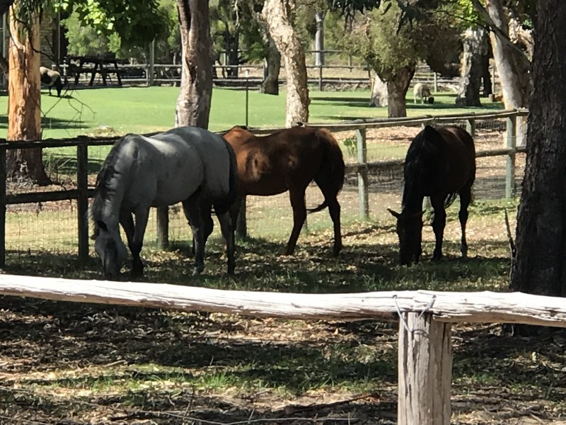 16L Harper Road, Banjup WA 6164