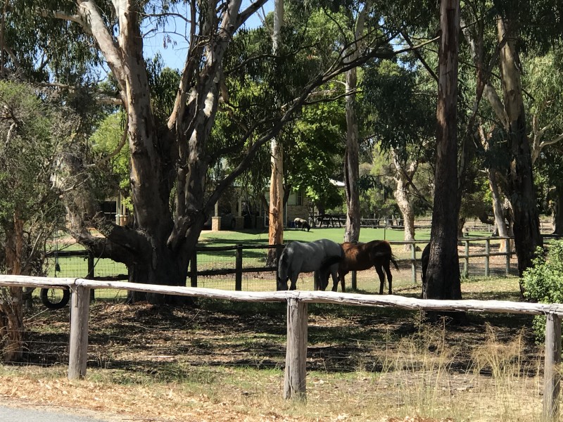 16L Harper Road, Banjup WA 6164