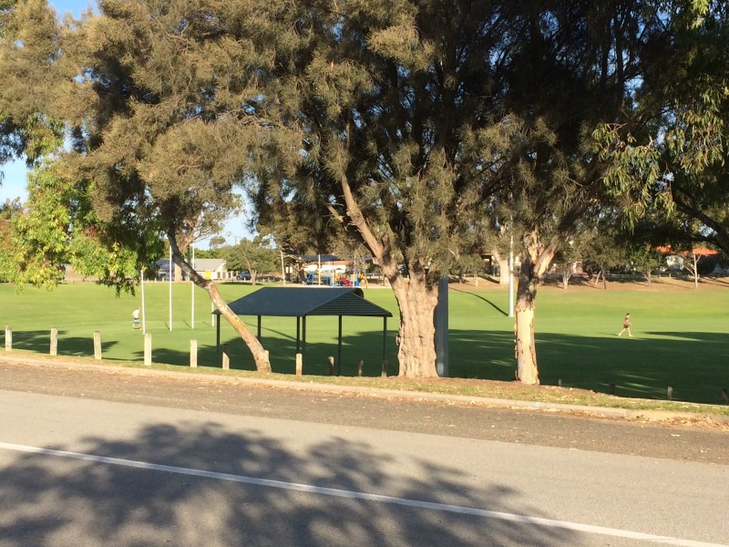 11 Lucius Road, Hamilton Hill WA 6163