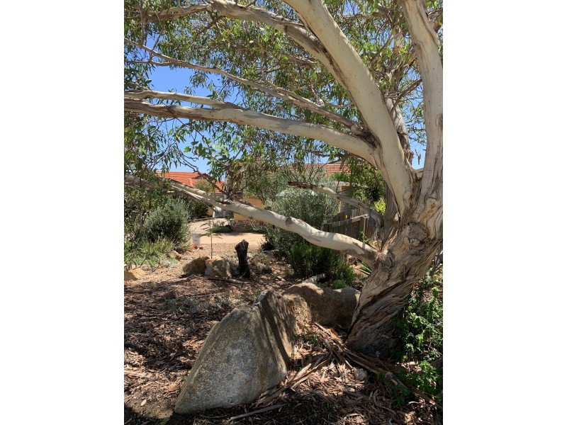 14A Gaunt Road, Spearwood WA 6163