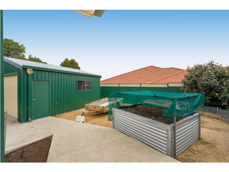 6 Morton Road, Hamilton Hill WA 6163