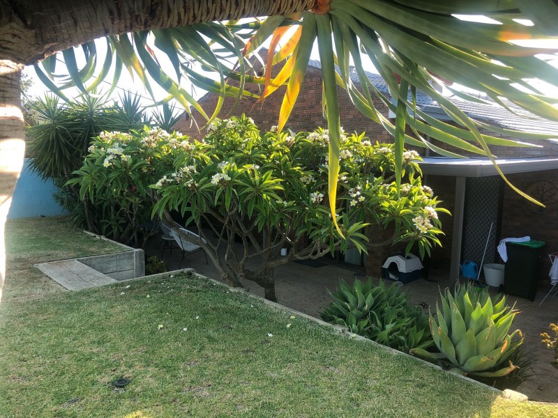 8/133 Flinders Street, Yokine WA 6060