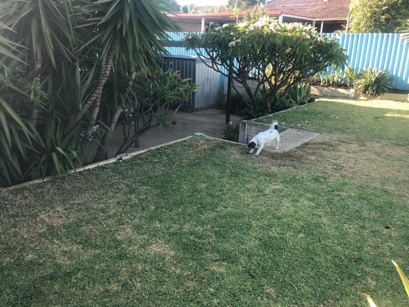 8/133 Flinders Street, Yokine WA 6060