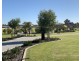 10 Tiliqua Crescent, Wandi WA 6167