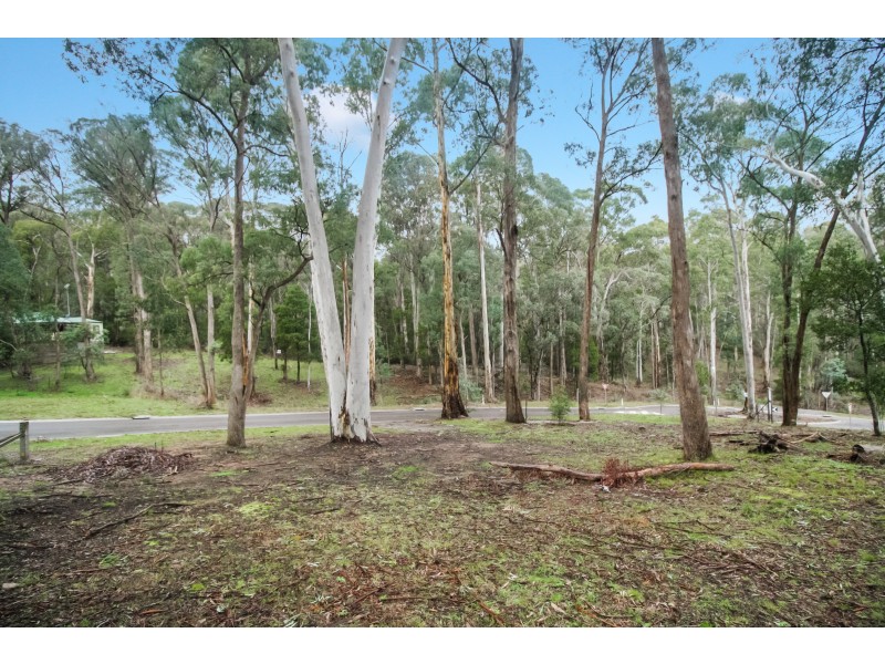 8 Overflow Road, Sawmill Settlement VIC 3723