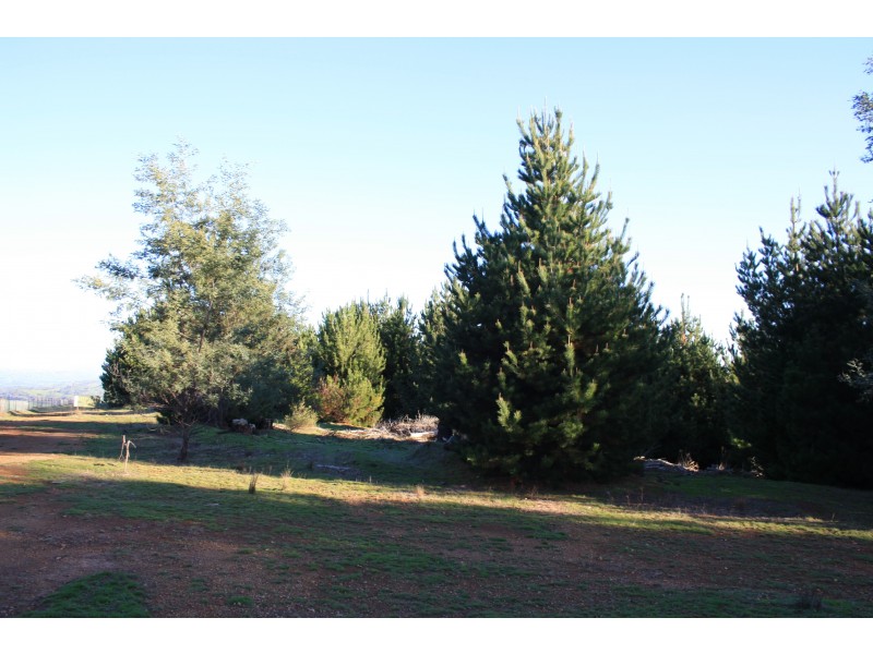 583 Penny Lane, Merton VIC 3715