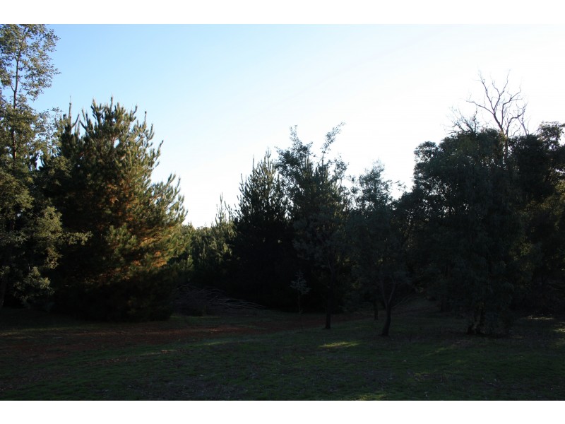 583 Penny Lane, Merton VIC 3715