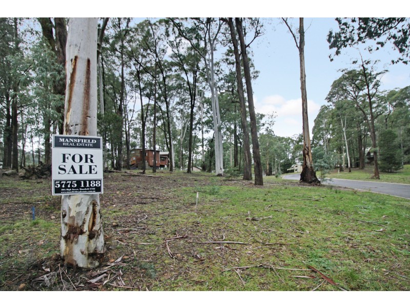 10 Overflow Road, Sawmill Settlement VIC 3723