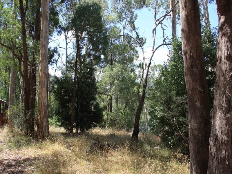 9 Christensen Street, Sawmill Settlement VIC 3723