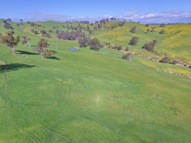 18 Nix Lane, Bonnie Doon VIC 3720