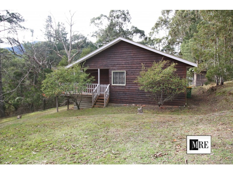 10 Pinnacle Road, Merrijig VIC 3723