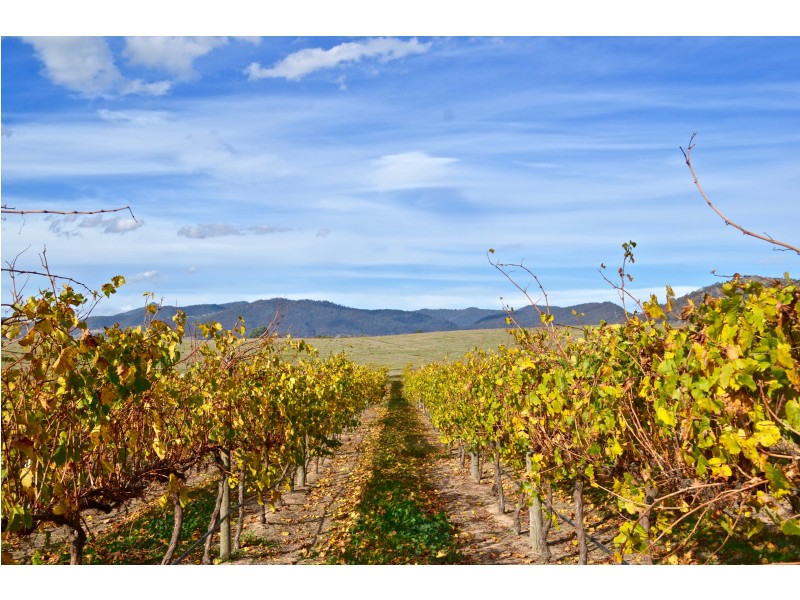 221 Wairere Road, Mansfield VIC 3722