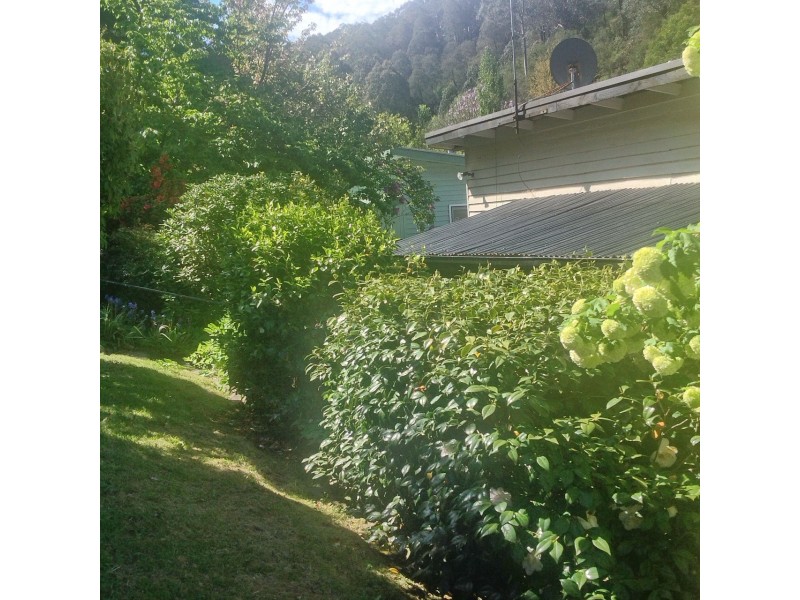 39 Scott Street, Woods Point VIC 3723