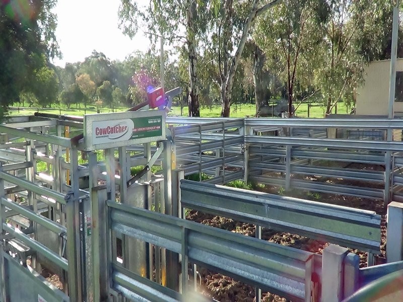 290 Barwite Road, Mansfield VIC 3722