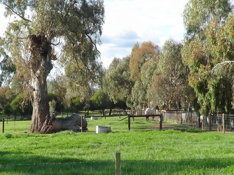 290 Barwite Road, Mansfield VIC 3722