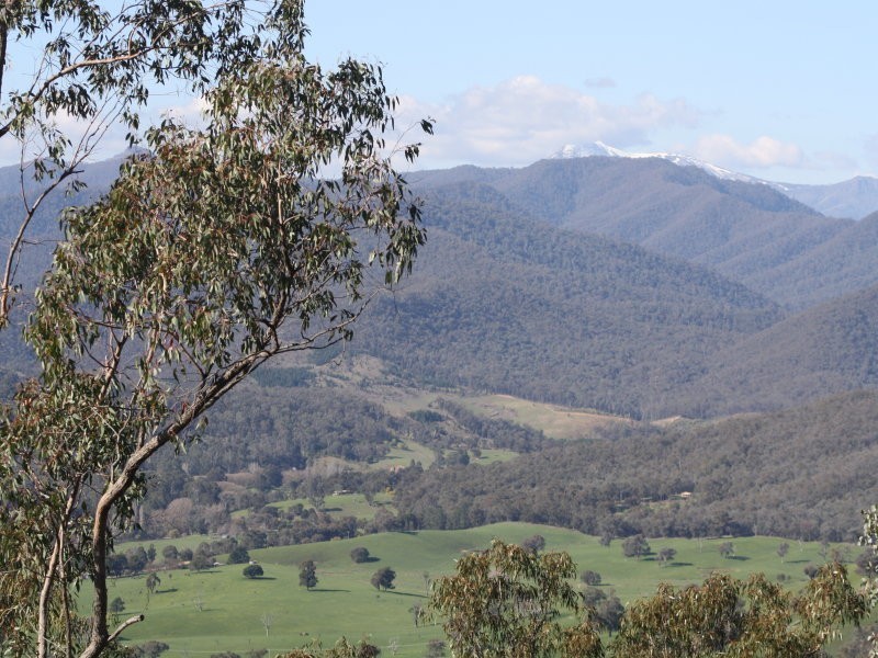 1/3025 Mansfield Woods Point Road, Jamieson VIC 3723