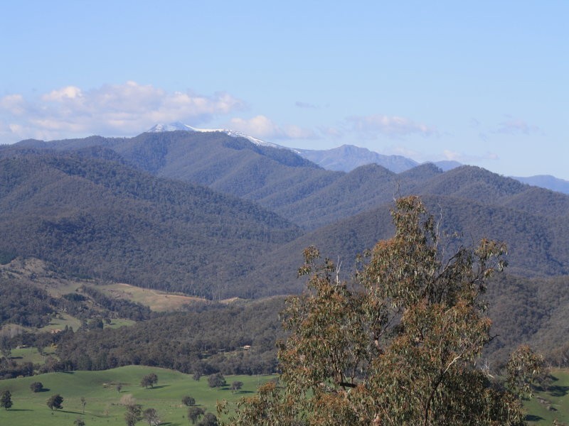 1/3025 Mansfield Woods Point Road, Jamieson VIC 3723