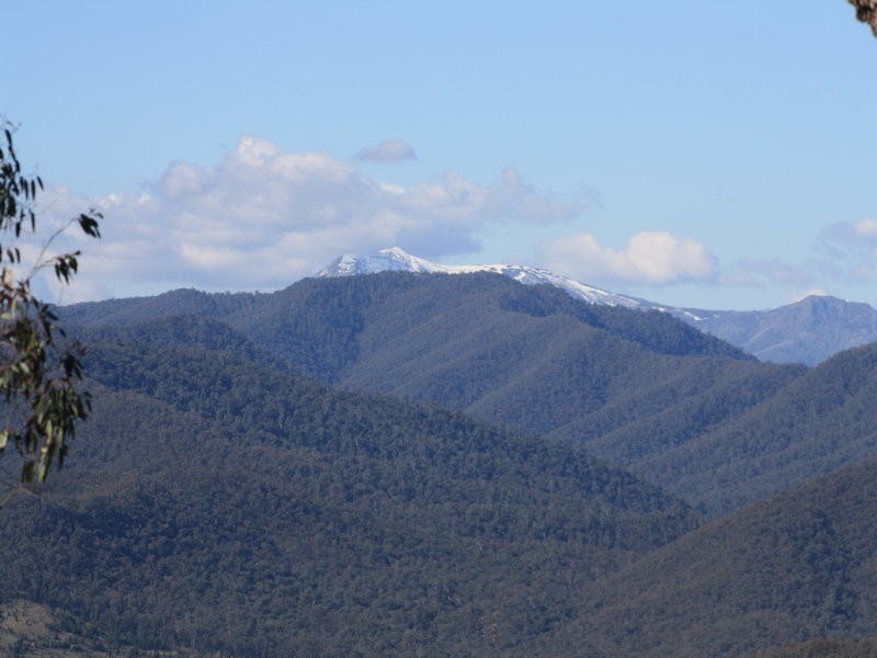 1/3025 Mansfield Woods Point Road, Jamieson VIC 3723