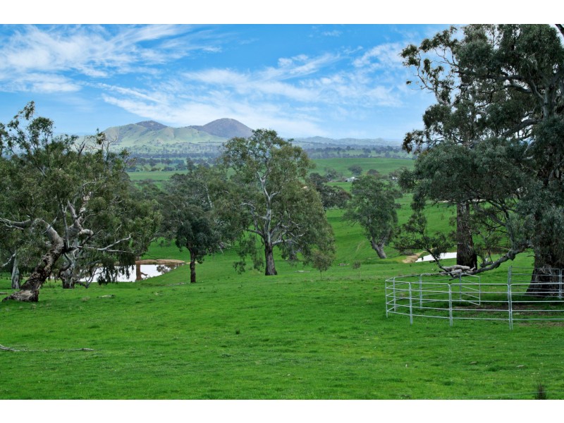 161 McLeod Lane, Mansfield VIC 3722
