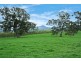 161 McLeod Lane, Mansfield VIC 3722