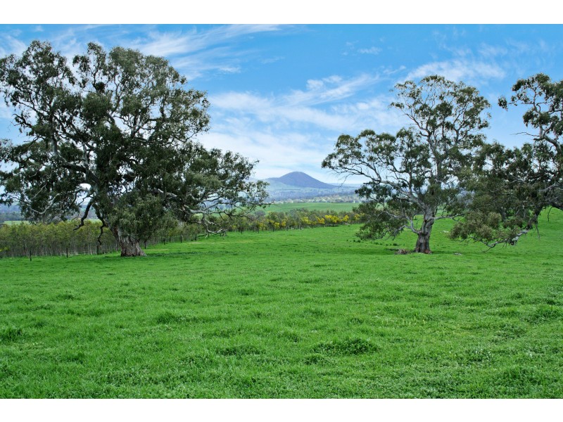 161 McLeod Lane, Mansfield VIC 3722