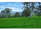 161 McLeod Lane, Mansfield VIC 3722