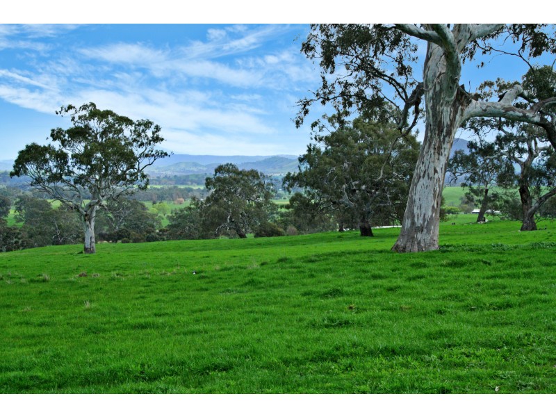 161 McLeod Lane, Mansfield VIC 3722