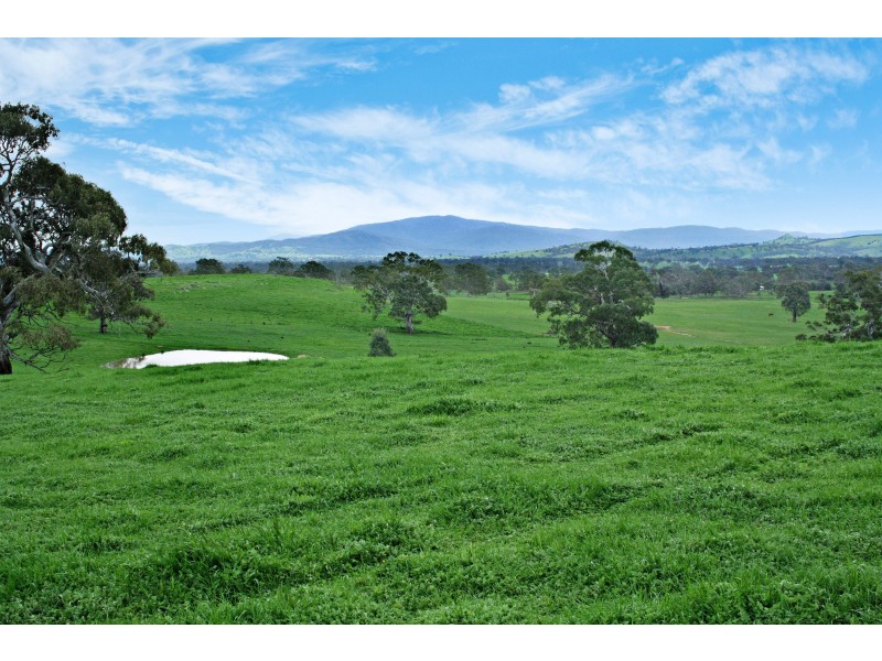 161 McLeod Lane, Mansfield VIC 3722