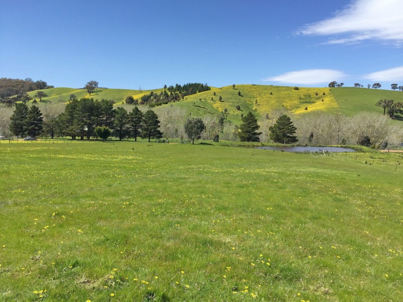 4/129 Star of the Glen Road, Bonnie Doon VIC 3720