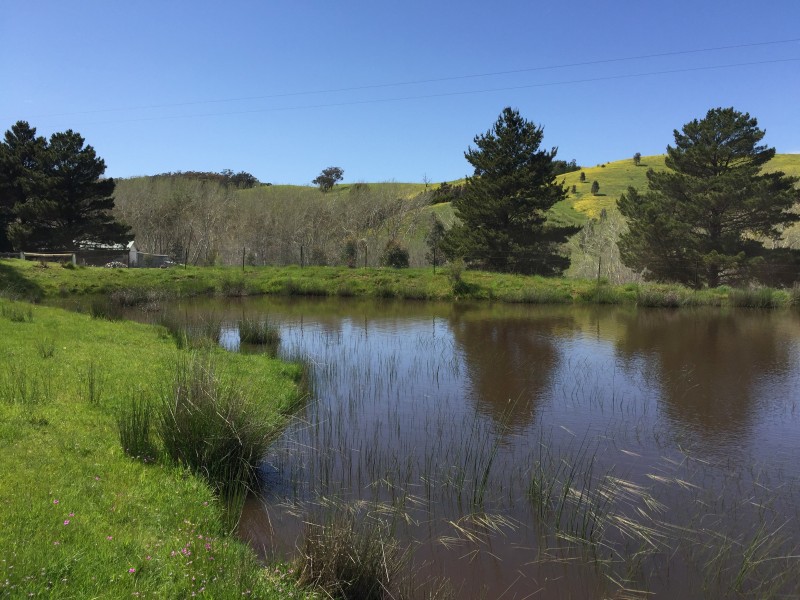 4/129 Star of the Glen Road, Bonnie Doon VIC 3720