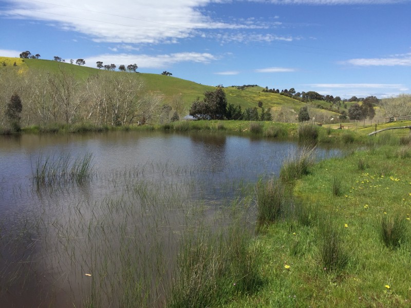 4/129 Star of the Glen Road, Bonnie Doon VIC 3720