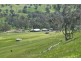 1 Old Tonga Road, Mansfield VIC 3722