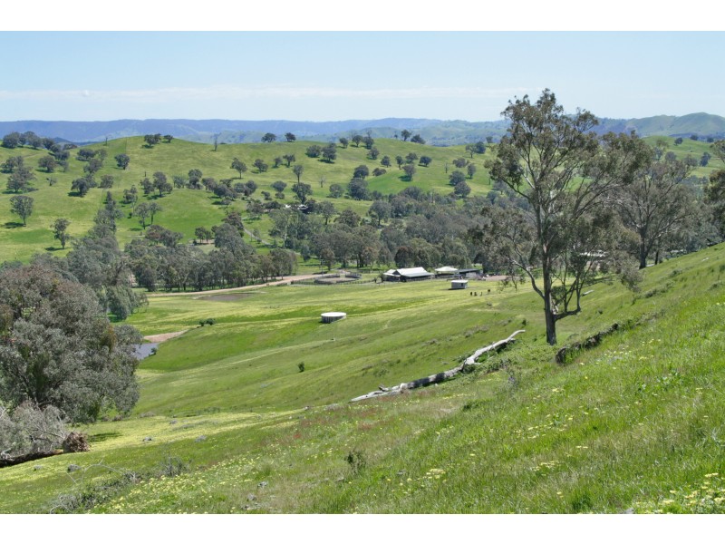 1 Old Tonga Road, Mansfield VIC 3722
