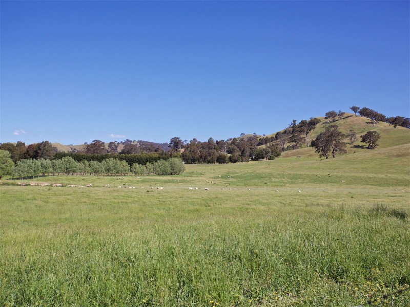 1094 Maroondah Highway, Woodfield VIC 3715