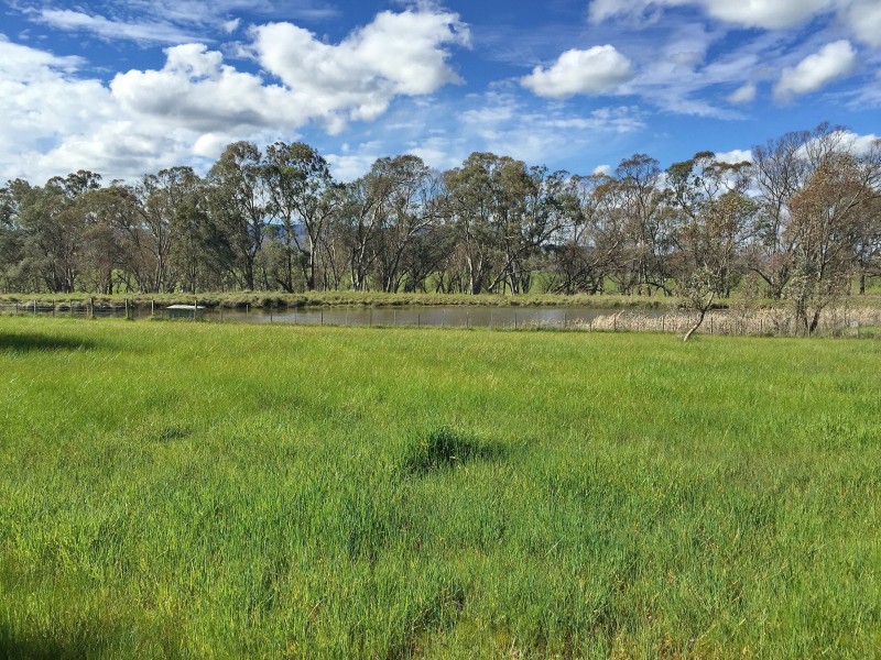 4918 Midland Highway, Mansfield VIC 3722