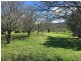 4918 Midland Highway, Mansfield VIC 3722