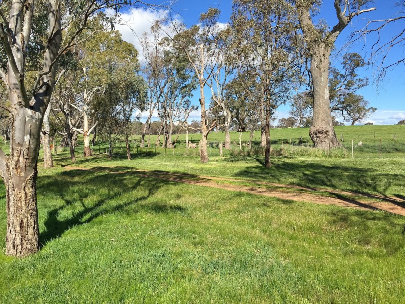 4918 Midland Highway, Mansfield VIC 3722