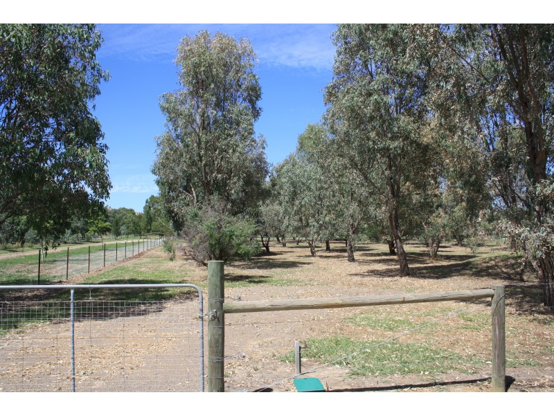 158 Malcolm Street, Mansfield VIC 3722