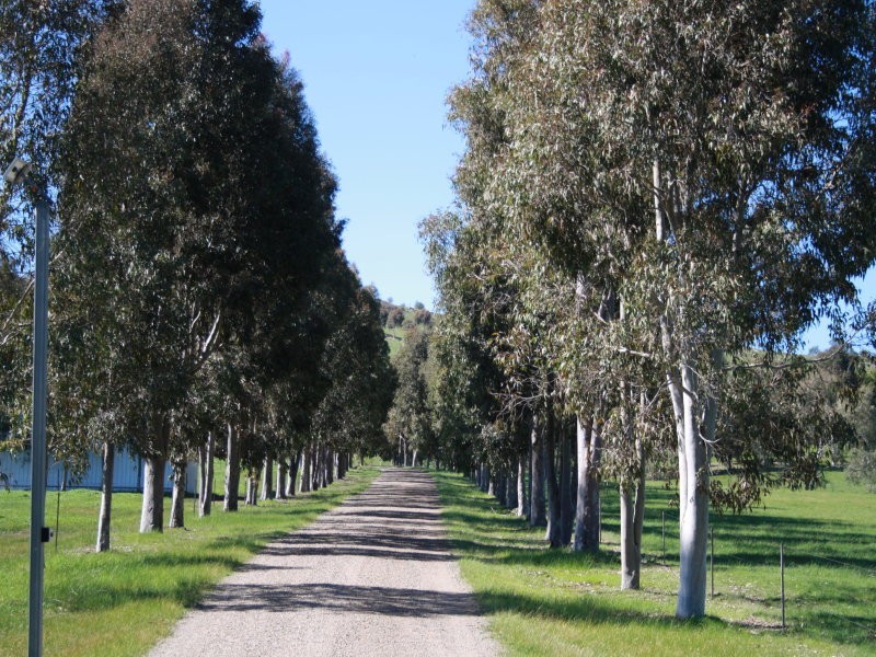 1425 Mansfield-Woods Point Rd, Mansfield VIC 3722