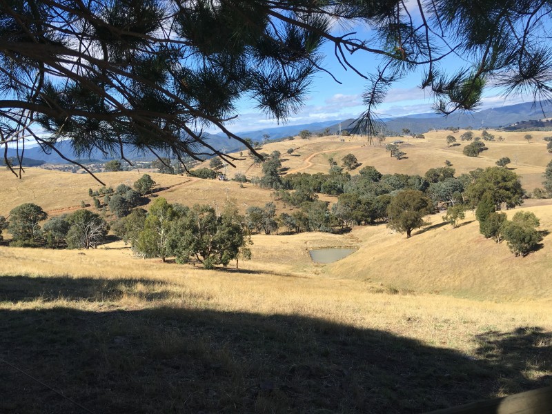 20 Godwills Road, Mansfield VIC 3722