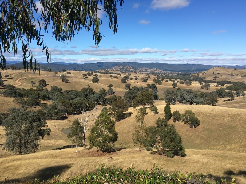 20 Godwills Road, Mansfield VIC 3722