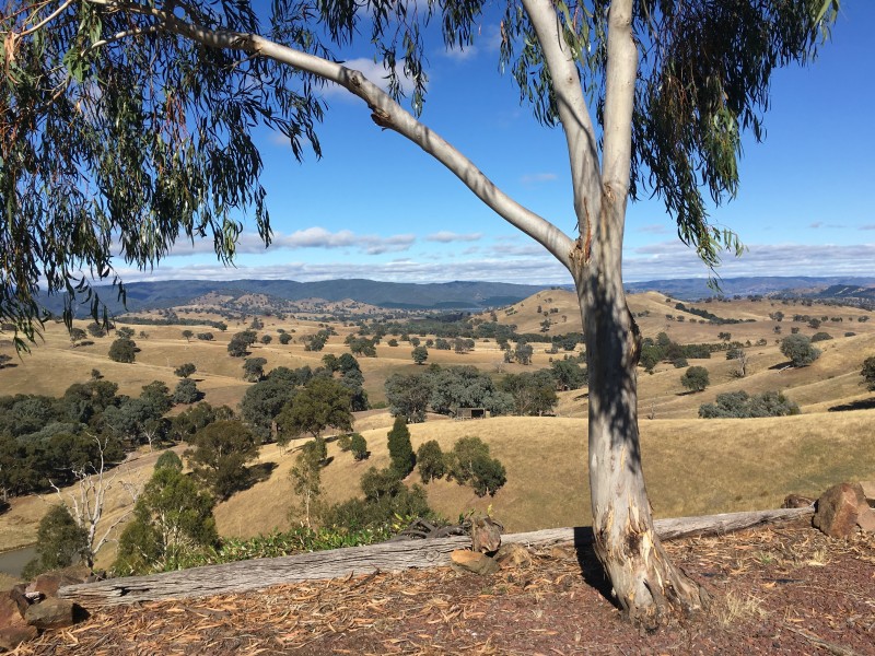 20 Godwills Road, Mansfield VIC 3722