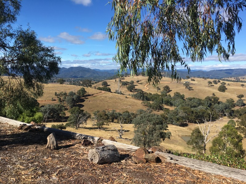 20 Godwills Road, Mansfield VIC 3722