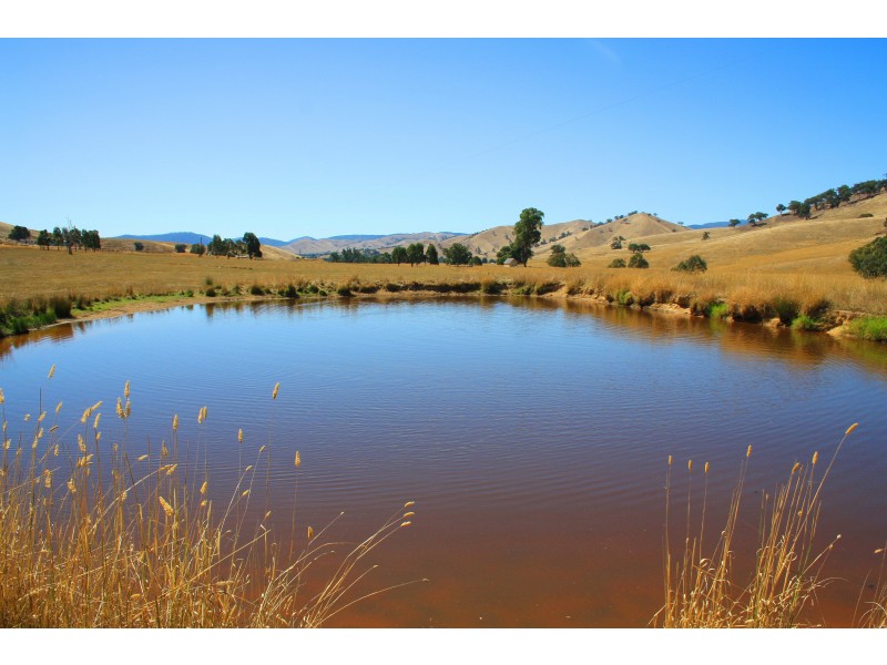 251 Woolshed Road, Woodfield VIC 3715