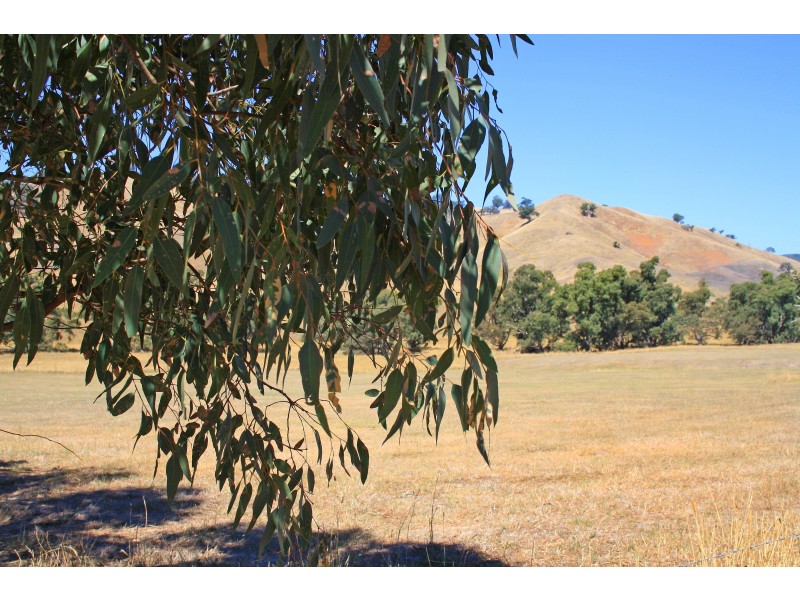 251 Woolshed Road, Woodfield VIC 3715