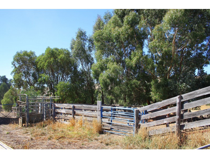 251 Woolshed Road, Woodfield VIC 3715