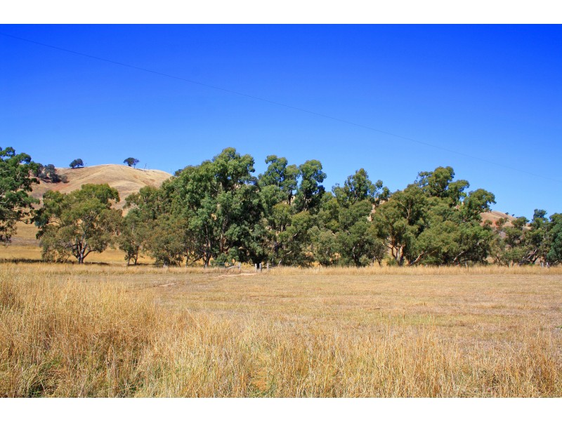 251 Woolshed Road, Woodfield VIC 3715