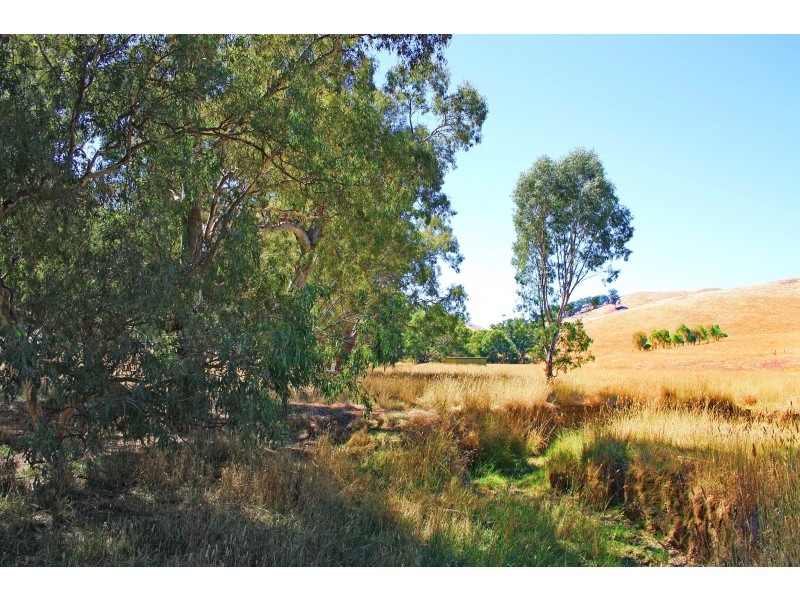 251 Woolshed Road, Woodfield VIC 3715